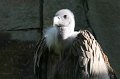 Zoo Straubing_040